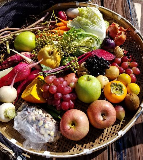 秋は実りの酵素