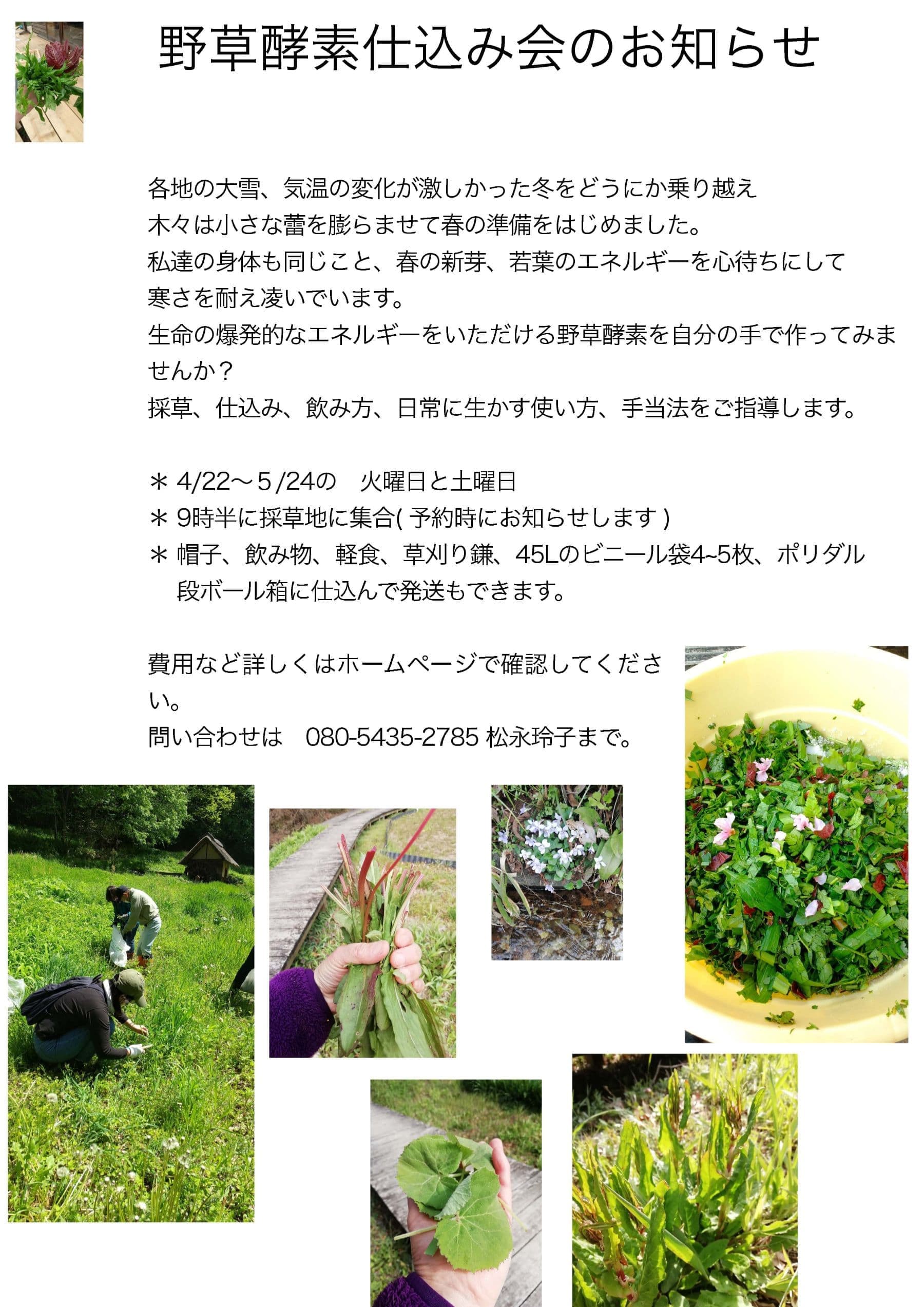 野草酵素仕込み会のお知らせ